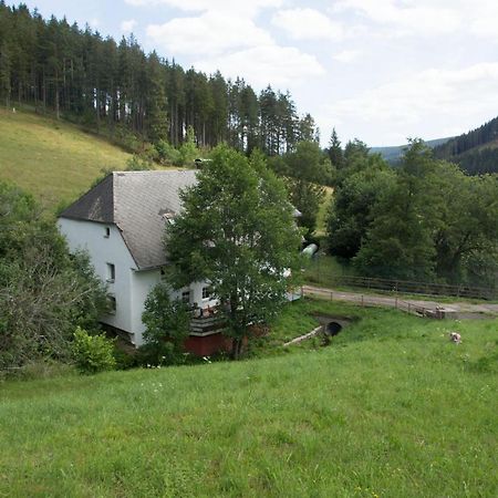 Zur Alten Oele - Hochwertig Und Familienfreundlich Lenzkirch Εξωτερικό φωτογραφία